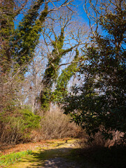 Fototapety na wymiar - Fototapeta24.pl