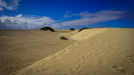 Sanddünen und wüstenähnliche Landschaft nahe Corralejo auf Fuerteventura