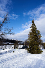 Winter activity on the mountain. 