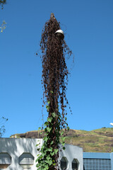 A natureza d&aacute; um jeito