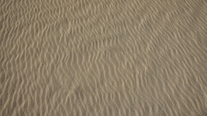 Textur einer Sanddüne nahe Corralejo auf Fuerteventura - Spanien