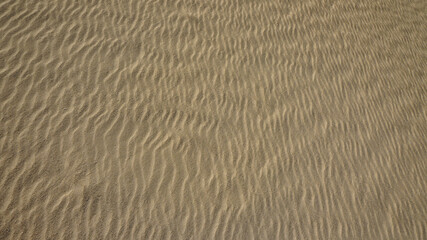 Textur einer Sanddüne nahe Corralejo auf Fuerteventura - Spanien