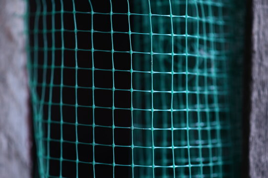 geometrically distorted texture grid. green grid background. Selective focus. High quality photo - Powered by Adobe