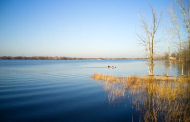 morning on the river with calm water and a blue sky