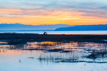 Fototapeta premium Peaceful sunset across Skagit Bay with a view of the distant Olympic Mountain Range
