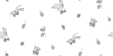 Hand drawn raspberry seamless pattern. Sketch style vector illustration. Black botanical endless backdrop on white background
