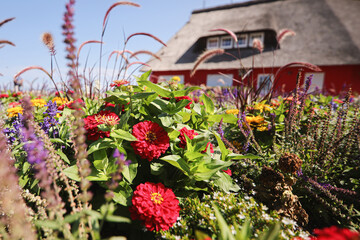 Fototapeta premium bunter garten
