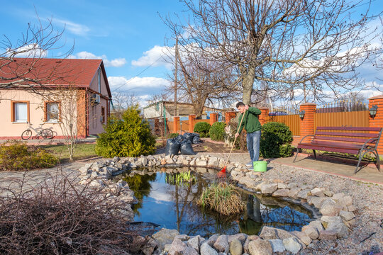 Middle-aged Caucasian Man Cleans A Garden Pond With Leaf Rake From Water Plants And Falling Leaves Near His House. Spring Seasonal Pond Care After Winter. 