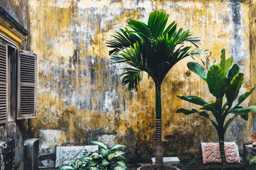 Old yellow Wall, Asia Vietnam.