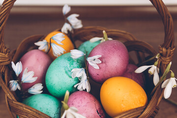 Easter eggs in a basket. An Easter basket with yellow, green and purple eggs and decorated with snowdrops stands on a wooden table. Easter background.