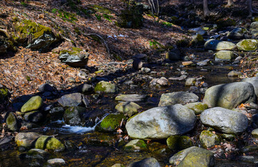 down by the brook on a sunny after noon in new england
