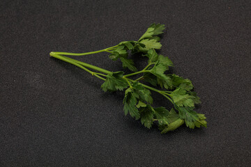 Green fresh parsley branch herb