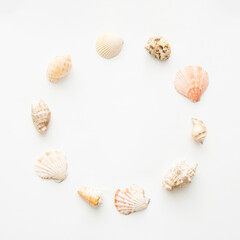 A circle of seashells