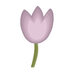 Tulip Spring Flower Illustration, Hand-painted