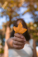 A young woman holding a single small leaf in the park. Blur background