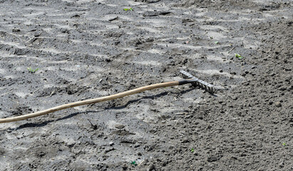 Rake on surface of the land in an agricultural field. Rake trail on soil. Preparation of a land parcel for sowing
