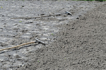 Two rakes on surface of the land in an agricultural field. Rake trail on soil. Preparation of a land parcel for sowing