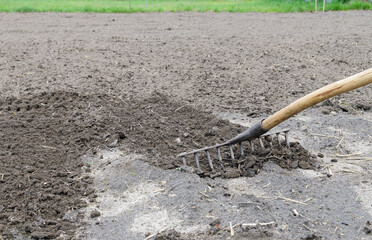 Loosening the surface of the land in an agricultural field with a rake. Rake trail on soil. Preparation of a land parcel for sowing