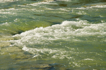 Isar's water spills over the green moss stones. Munich, Germany.