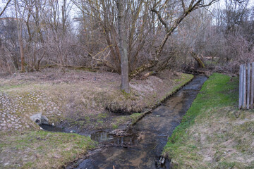 the river in the park