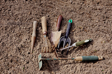Used garden tools. Preparation for work in the home garden.
