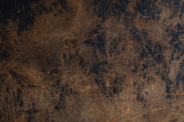 Fototapeta na wymiar Abstract wooden background. Partly painted with black colour. Beautiful texture of wood.