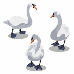 Beautiful swan.White grey swans, cartoon goose bird fairytale creature and graceful duckling pastel elegance isolated illustration icons set.