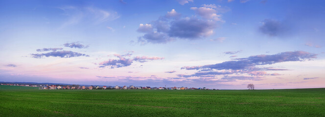 Obraz na płótnie Canvas Spring fields with green grass of winter wheat in the picturesque evening sky. Panorama of agricultural landscape.