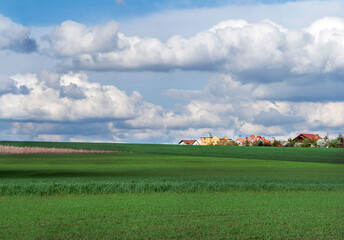 Naklejka premium young winter wheat and the village on the horizon and sky clouds
