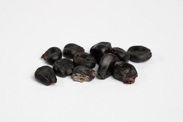 Kulli - Peruvian corn variety. 