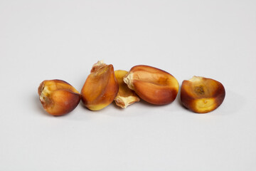 Obraz premium Capulí - Peruvian corn variety. 