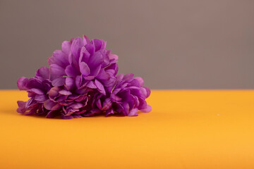 Fioletowy bukiet © Natalia