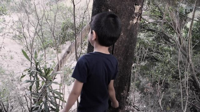 Child playing with tree in Guatemalan forest at sunset, place with wind and oxygen, cool space for distraction in the COVID-19 Pandemic 