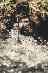The river passing through the barriers that nature places to move on
