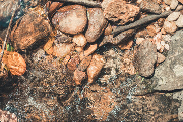 the natural texture made in nature
