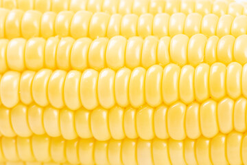 close up of fresh corn background