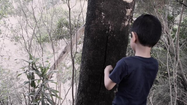 Child playing with tree in Guatemalan forest at sunset, place with wind and oxygen, cool space for distraction in the COVID-19 Pandemic 