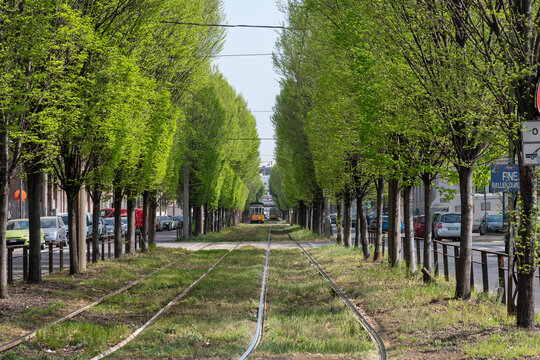 Tramway line in the Lambrate area, Milan tramway