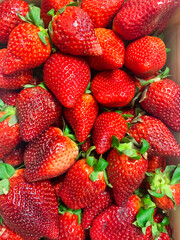 set of ripe strawberries ready to eat