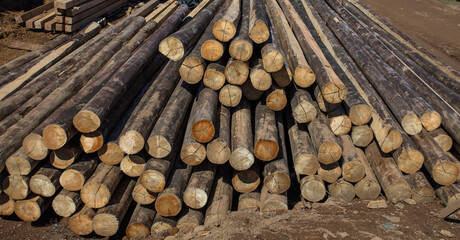 Close up de toras de madeira