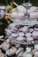 Candy bar on wedding with beautiful french purple macarons and handmade ice cream