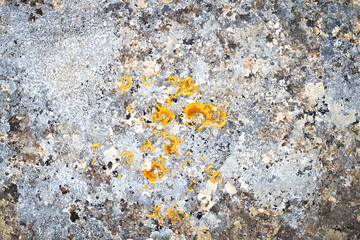 typical limestone of the Murgia of Matera