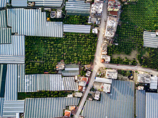 High angle drone aerial view of greenhouse fields of greens plantation in Demre - Antalya province, Turkey