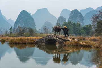 Chinese traditional living habits, traveling in Guilin, China, a farmer is plowing the land.