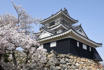 "Hamamatsu Castle" in Hamamatsu City, Shizuoka Prefecture, a famous castle in Japan.