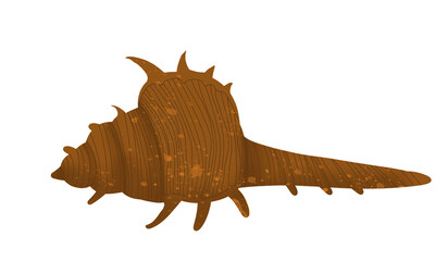 Sea and ocean life swashell illistration