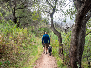 Obraz premium Man walking labrador retriever dog on trail in Ojai Valley with Topa Topa Mountains in the distance on an overcast day