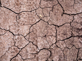 Ground texture of cracked dry dirt with mountain bike track
