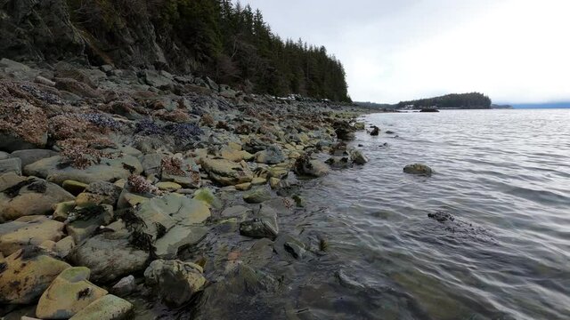 Rocky beach incoming tide in the Tongass National Forest Alaska.