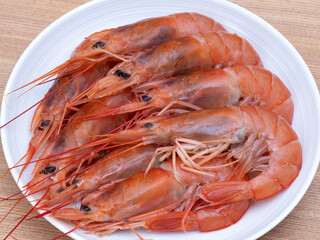 アルゼンチンアカエビ